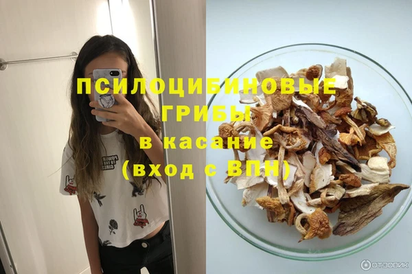 мяу мяу мука Надым